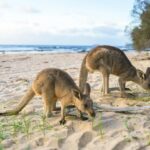 Justine Bateman Modern Family