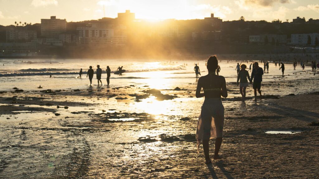 Pam Bondi Scott Fitzgerald