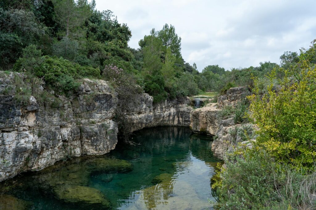 anna marcea stylish budget outfit