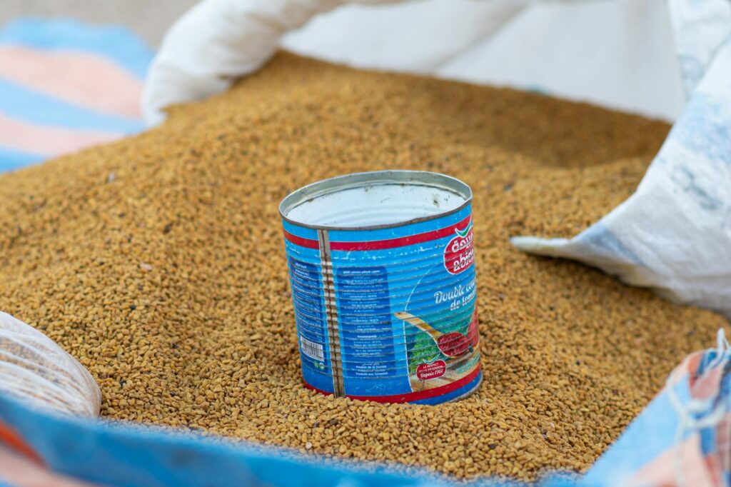 fenugreek seeds spice