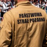 public service legal career